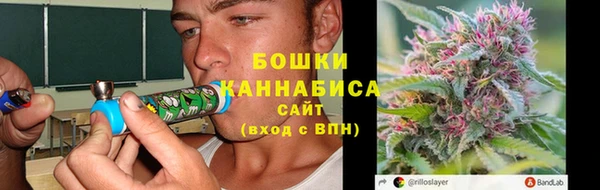 сатива Арсеньев