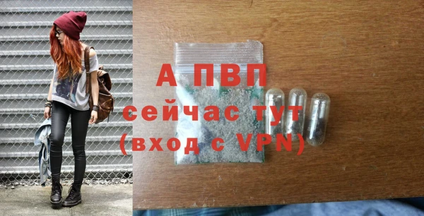 крисы Армянск