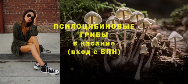 дмт Аркадак