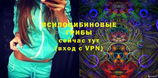 сатива Арсеньев