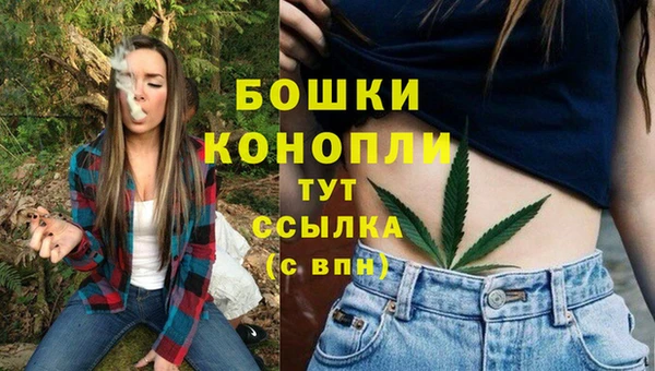 сатива Арсеньев