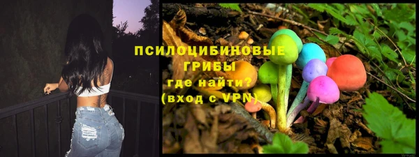 крисы Армянск