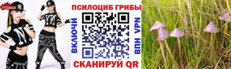 Галлюциногенные грибы Psilocybine cubensis Баймак
